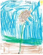 Kid’s Art of One Seed