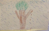 Kid’s Art of One Seed