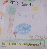 Kid’s Art of One Seed