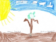 Kid’s Art of One Seed