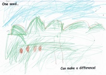 Kid’s Art of One Seed