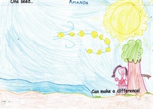 Kid’s Art of One Seed