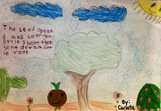 Kid’s Art of One Seed