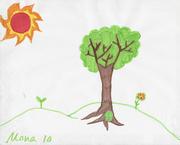Kid’s Art of One Seed