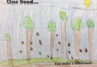 Kid’s Art of One Seed