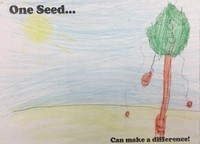 Kid’s Art of One Seed
